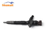 Common Rail 295900-0250 & 295900-0200 & 23670-30440 & 23670-39435 Piezo Injector & Fuel Injector