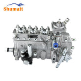China Made Brand New Common Rail Fuel Pump B6AD548G-R for Diesel Engine System