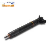 Original New Commercial vehicle Injector 28384645 For S SANG YONG, A6720170021