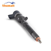 Genuine New Common Rail 0445110101 Fuel Injector OE 33800 27000 & 33800 27010 & 33800 27010Y