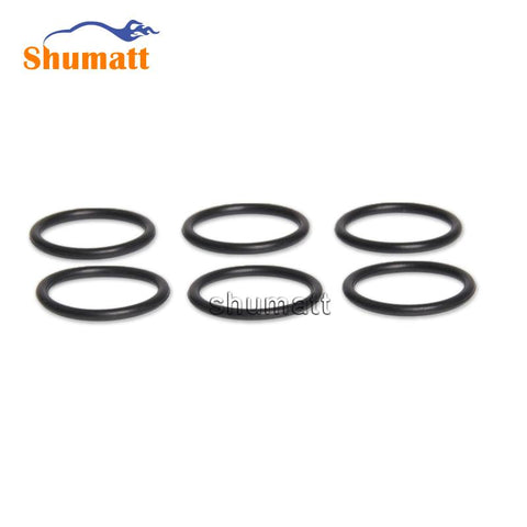 Common Rail O-ring for Fuel Injector 0445110293 & 1112100-E06