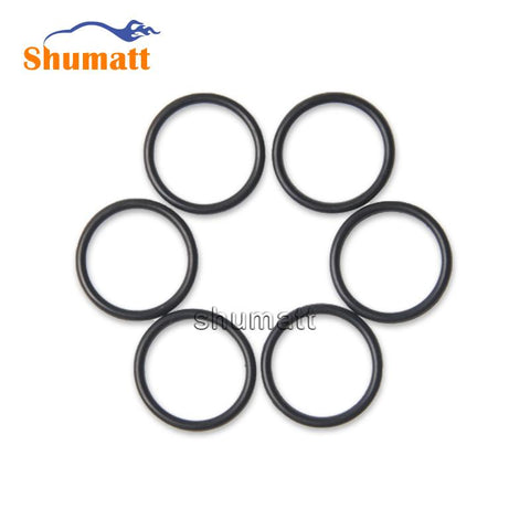 Common Rail O-ring for Fuel Injector 0445110293 & 1112100-E06