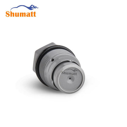 China Made New Common Rail pressure relief valve pressure limiting valve 1110010010 for Sensor 0445225002 & 0445225003