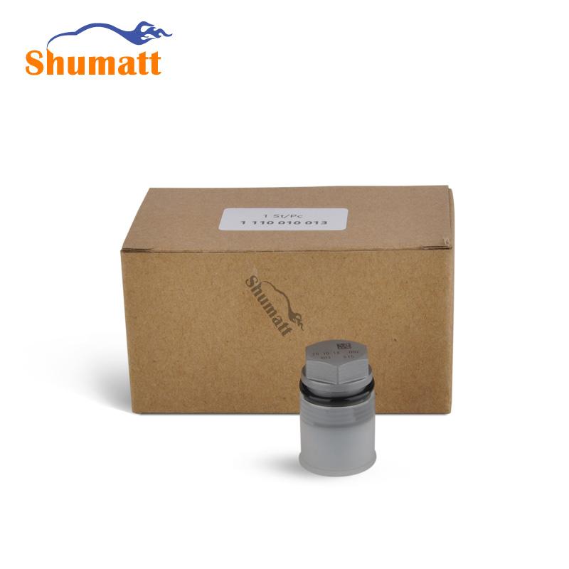 China Made New Common Rail pressure relief valve pressure limiting valve 1110010013