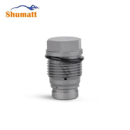 China Made New Common Rail pressure limiting valve 1110010022