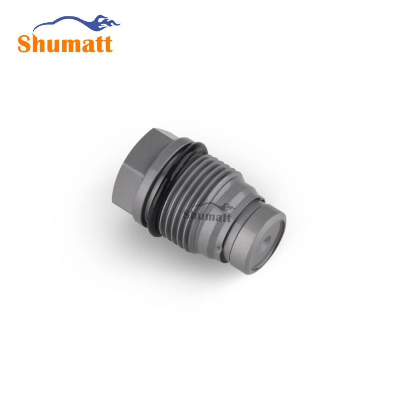 China Made New Common Rail pressure limiting valve 1110010022