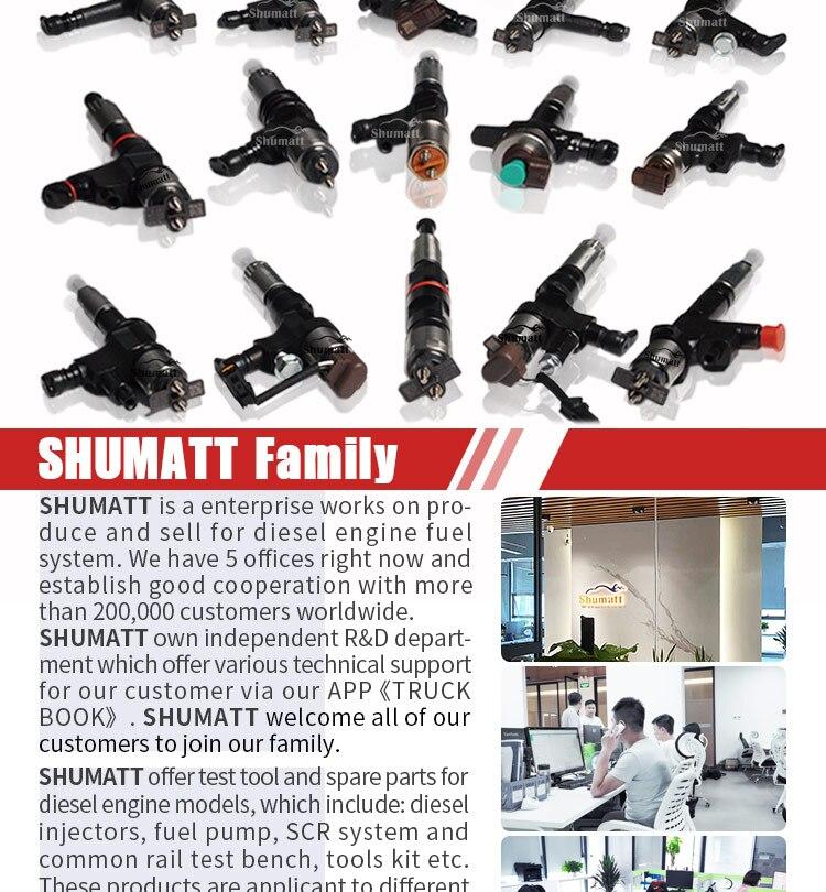 Order with SHUMATT for Siemens (Shims * 10 +  VDO Control Vlave * 2 )via AliExpress Standard Shipping