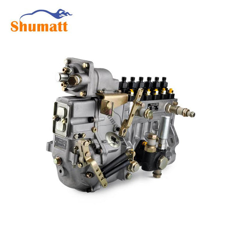 Original New Common Rail Fuel Injection Pump BH6PA  for Diesel Engine System