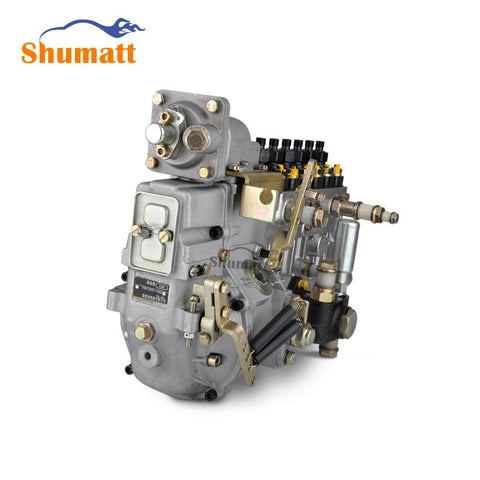 Original New Common Rail Fuel Injection Pump BH6PA  for Diesel Engine System